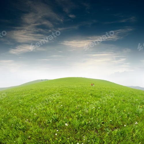 Preview: Summer grass field
