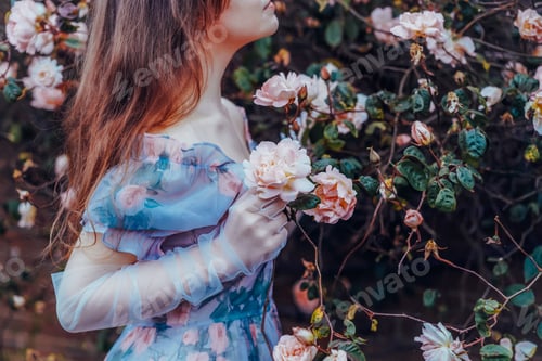 Preview: Cropped young woman Fairy holds pink flower rose on blooming bush background.