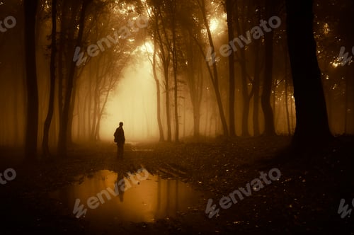 Preview: Dark silhouette on edge of lake in mysterious forest with fog
