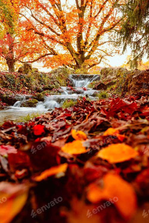 Preview: Long exposure of small waterfall covered with colorful leaves during autumn foliage