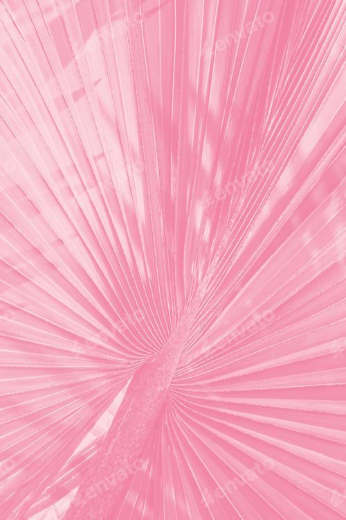 Preview: Ballet slipper pink palm leaf textured background