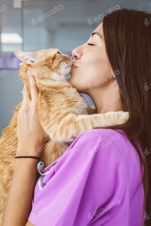 Preview: Veterinarian doctor kissing a little cat.