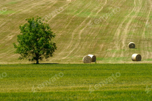 Preview: Rural landscape near Guiglia, Emilia-Romagna.