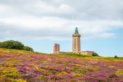 Preview: Yellow and pink flowers in summer in Phare Du Cap Frehel is a maritime lighthouse