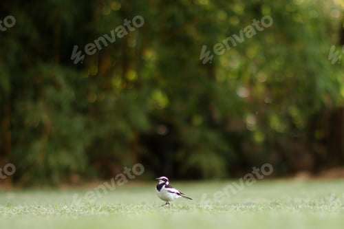 Preview: Antony Trivet Photography_ Creative. Stylish. Award-winning Photographer