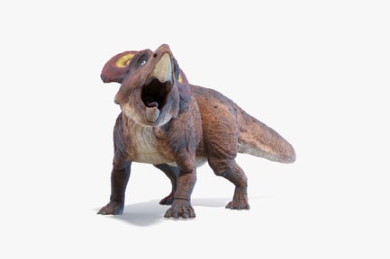 Preview: Animated Protoceratops Upper Cretaceous Dinosaur