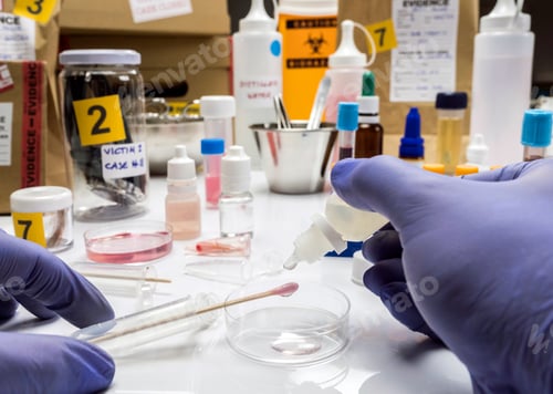 Preview: Specialized criminalistic police performs hematological analysis with forensic test kit