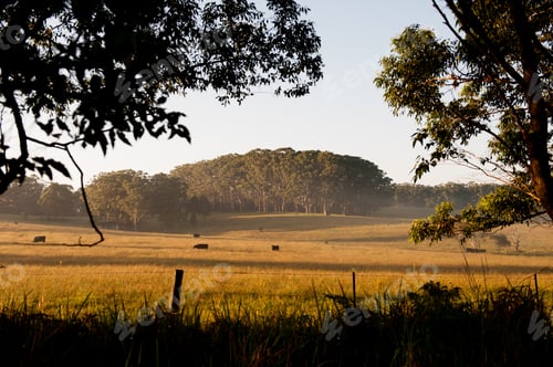 Vorschau: Australisches Ackerland