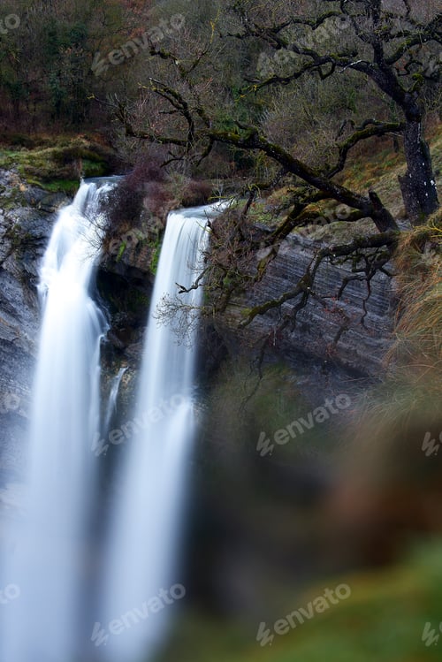 Preview: Autumn tree and waterfall