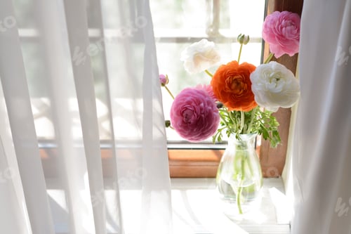 Preview: Bouquet of beautiful bright ranunculus flowers in glass vase on windowsill