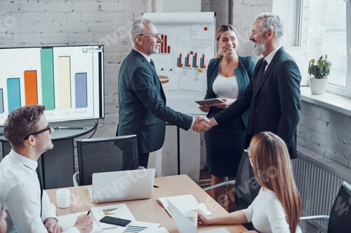 Preview: Confident businessmen shaking hands
