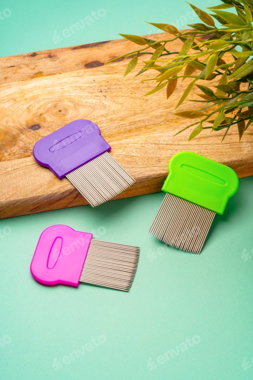 Preview: Three combs for lice removing on green background