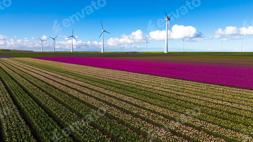 Preview: A picturesque scene of a vibrant field filled with colorful flowers, with elegant windmill turbines