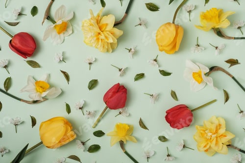 Preview: Many different spring flowers on a green background