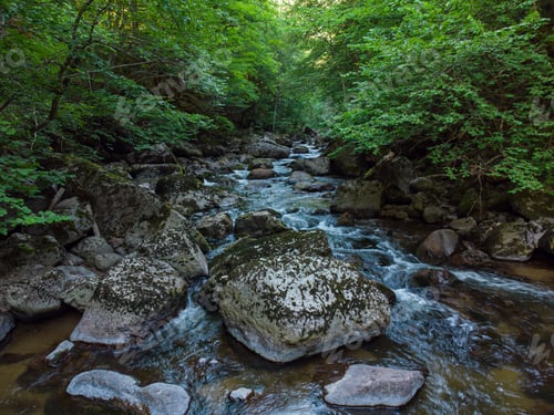 Preview: Aerial view of a stream in the forest in Rhodope Mountains near the town of Devin.
