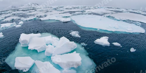 Preview: Drift floating Ice, Albert I Land, Norway