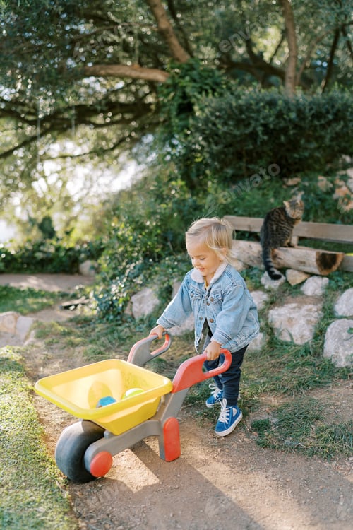 Preview: Little girl stands holding a toy wheelbarrow with balls in the park by the handles