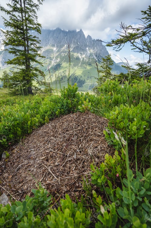 Preview: Hiking trail around Wilder Kaiser mountains, Tirol - Austria