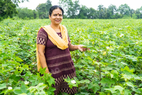Preview: Happy Indian woman in green cotton field.