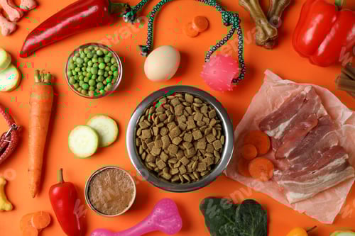 Preview: Concept of organic pet food on orange background