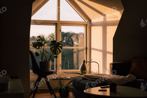Preview: Cozy living room of an apartment with natural flight flooding in