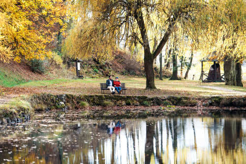 Preview: Senior father and his son sitting on bench by lake in nature, talking