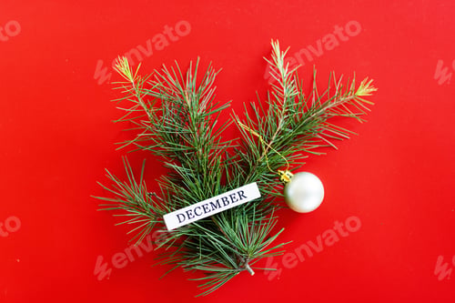 Preview: Creative Festive Flat Lay With Word December And Fir Branch on Red Background
