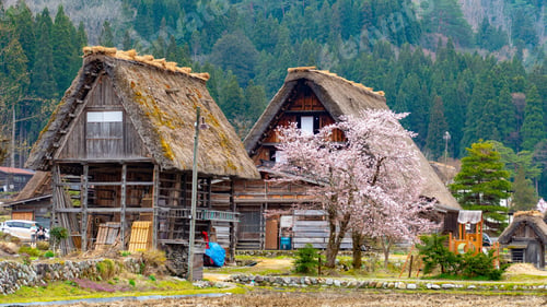 Preview: Scenic view of historic villages of Shirakawa-go and Gokayama in Japan