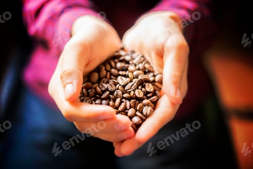 Preview: persons hands hold fragrant coffe seeds close up b