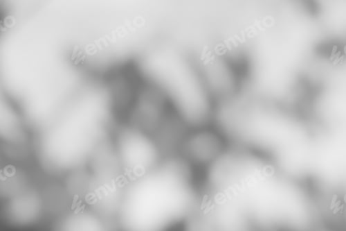 Preview: Blur Overlay Shadow Leaves Background