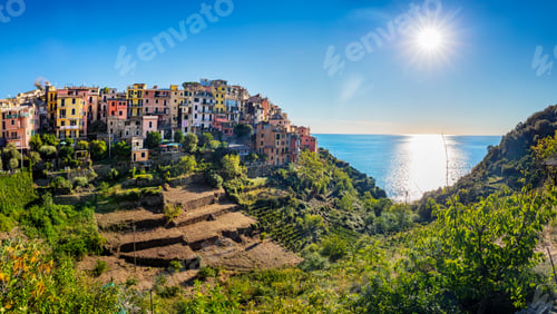 Preview: Corniglia in Cinque Terre, Italy with vineyards and terraces