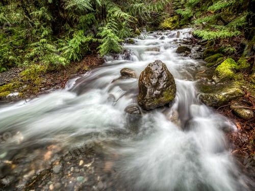 Preview: Roadside Attraction, Starthcona Provincial Park