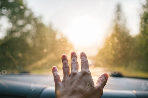 Preview: Hand Reaching Toward Sunlight Outdoors, Abstract Conceptual Shot
