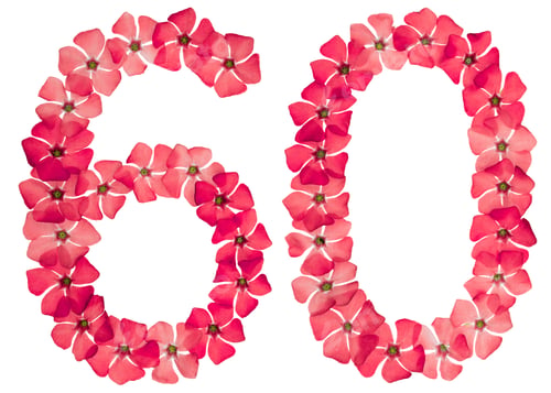Preview: Numeral 60, sixty, from natural red flowers of periwinkle, isolated on white background