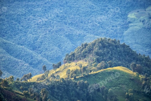 Preview: Beautiful mountain and agriculture field landscape