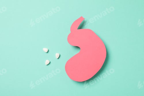 Preview: Concept of health care, stomach and intestinal problems