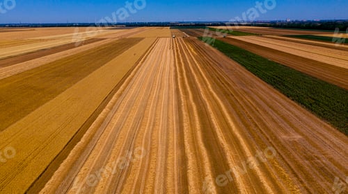 Preview: Aerial view of cultivated field rows in a countryside