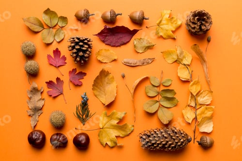 Preview: Autumn composition. Pattern made of dried leaves and other design accessories