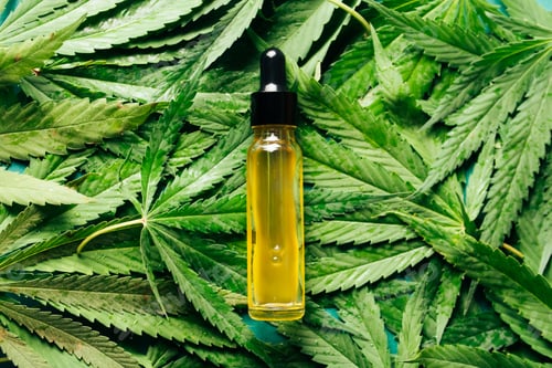 Preview: Cannabis oil in the dropper bottle with green leaves. Alternative medicine concept.