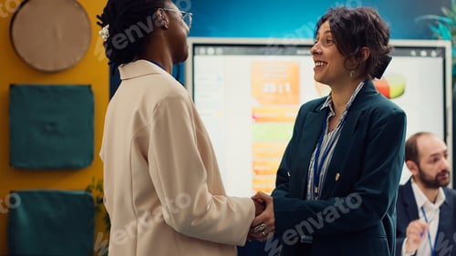 Preview: Project manager sharing insight about a new strategy with the new employee
