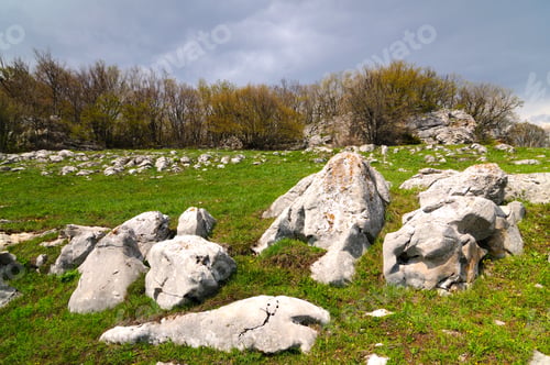 Preview: Meadow with green grass strewn stones and boulders