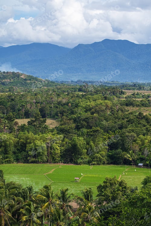 Preview: Landscape with Rice Fields at Seulimum, Aceh, Indonesia
