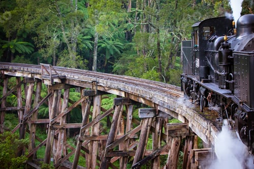 Preview: Puffing Billy Train in Melbourne Australia
