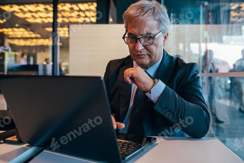 Preview: middle age business man using computer