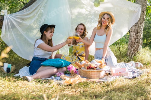 Preview: Group of girls friends making picnic outdoor