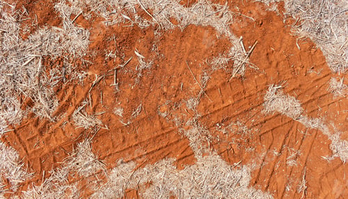 Preview: Red soil with straw background.