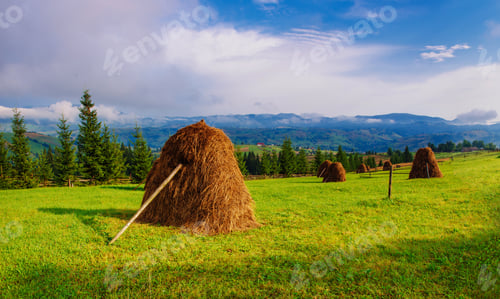 Preview: Beautiful sunny day is in mountain landscape.