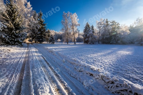 Preview: Frozen forest with snow at dawn in winter