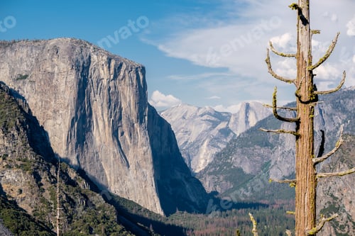 Preview: Yosemite National Park Valley summer landscape