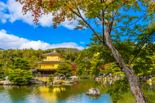 Preview: Beautiful Kinkakuji temple with golden pavillion in Kyoto japan